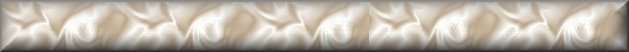 site by www.wizwebsitedesign.com