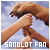 the sandlot