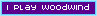 i play woodwind