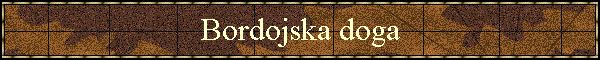 Bordojska doga