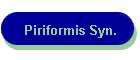 Piriformis Syn.