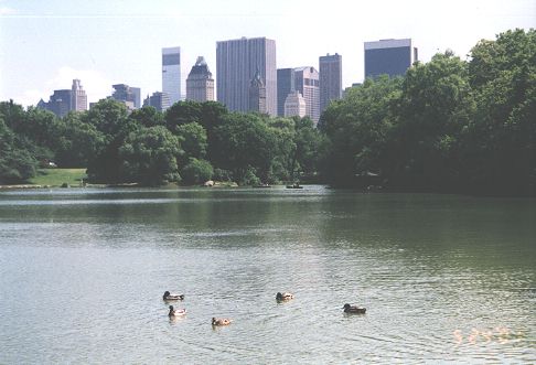 Central Park in Manhattan