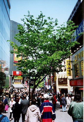 A street in Myongdong