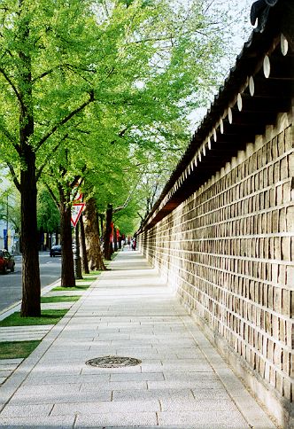 A street around Gyeongbokgung Palace