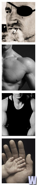 -:wallman, treetrunk, cultured and clever, polite and caring, professional torturer/barbarian:-