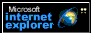 MS Internet Explorer