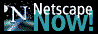 Netscape NOW