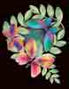 Butterflies Mesh Gradients