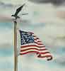 Memorial Park Flag
