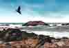 Modified Photo 1