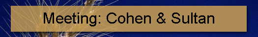 Meeting: Cohen & Sultan