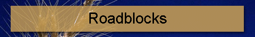 Roadblocks