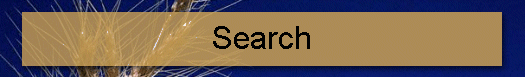 Search