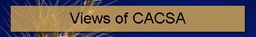 Views of CACSA
