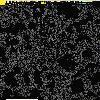 thumbbiec503112402084.jpg