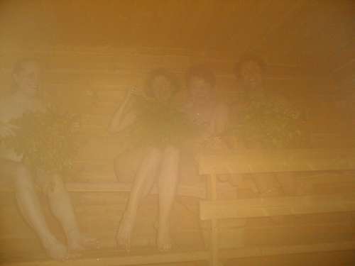 sauna2.jpg (7587 bytes)