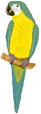 FLY YOUR WAY INTO MY DOMAIN!