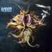 The Mollusk