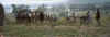 sunday battle 6.jpg (35580 bytes)