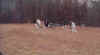 up the hill.jpg (12378 bytes)