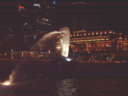 the merlion with the fullerton hotel as backdrop... nice