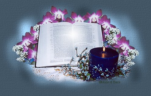 KING JAMES BIBLE LINK