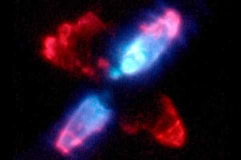 eggnebula1.jpg (8326 bytes)