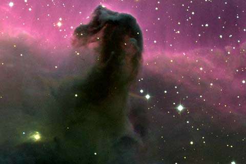 Horse Head Nebula
