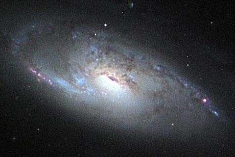 M106 Spiral Galaxy