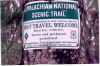 No7.jpg (191375 bytes)