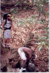 apr18-3.jpg (220246 bytes)
