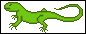 Save the Lizards