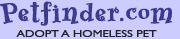 Petfinder.com