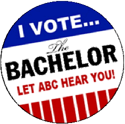 Save The Bachelor