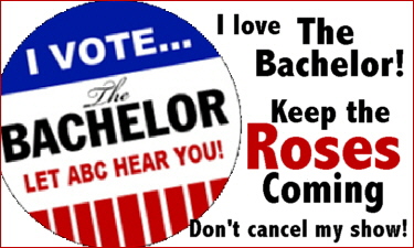 Keep The Bachelor