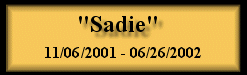 Sadie