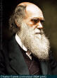 Picture of biologist