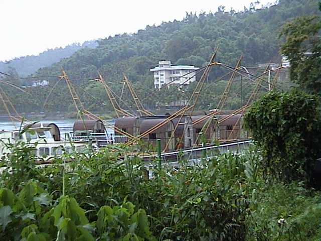 spider boats