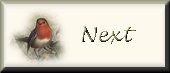 Next