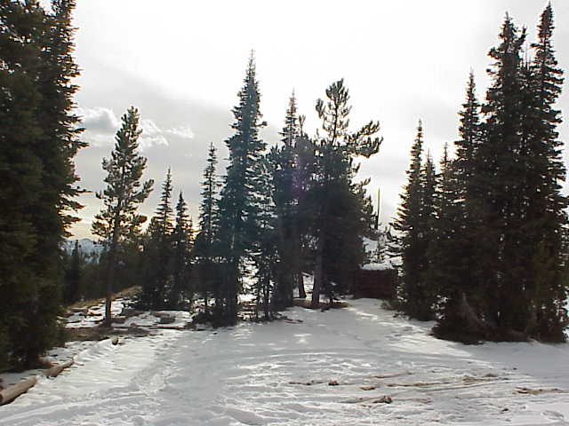 Forest Service Lookout