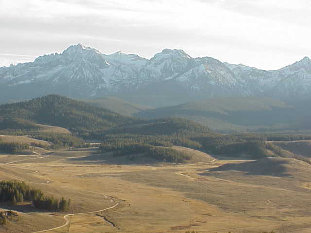 Forest Service Lookout