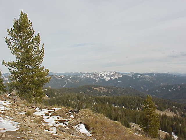 Forest Service Lookout