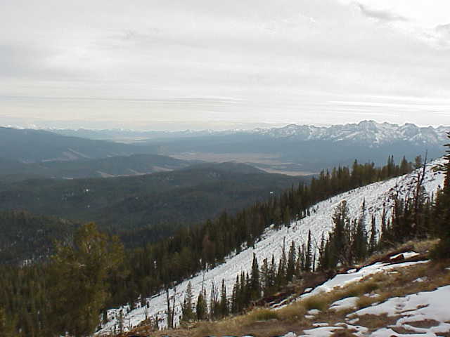 Forest Service Lookout