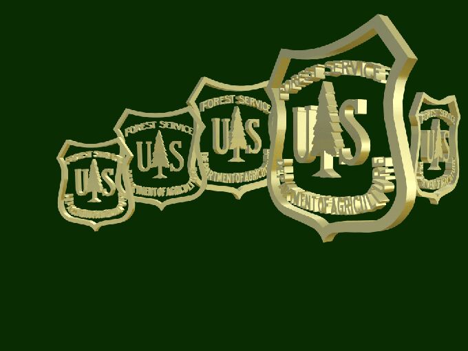 Large Forest Service Emblem.