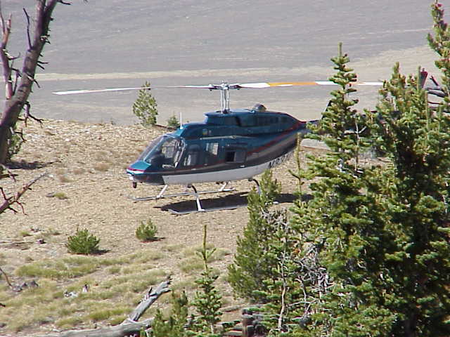 The Helipad at the Forest Service Lookout