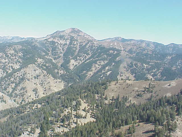 Forest Service Lookout