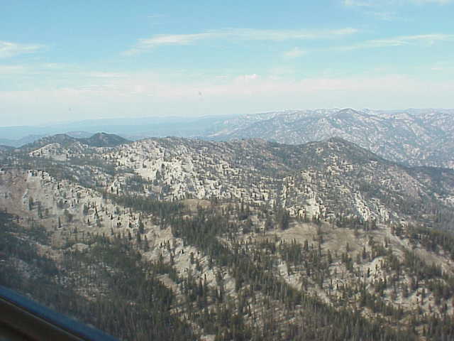 Forest Service Lookout