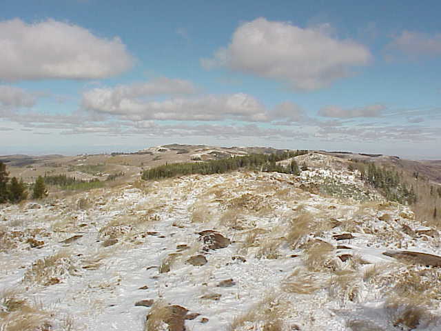 Forest Service Lookout