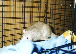 Buffy hanging out