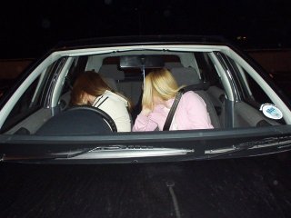 Those birds in the skoda again